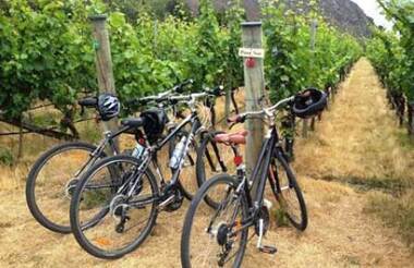 Gibbston Ride and Wine Self-Guided Tour with Arrowtown Bike Hire