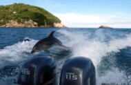 Coromandel Day Tour with Auckland & Beyond Tours