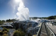Te Puia Geothermal Valley Rotorua Tour with Auckland & Beyond Tours