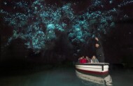 Waitomo Glow Worm Caves Half-Day Tour with Auckland & Beyond Tours