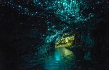 Auckland to Rotorua with Hobbiton & Waitomo Glow Worms Tour with FlexiTours - Lunch Included