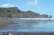 Coast and Rainforest Full Day Tour with Bush and Beach - Lunch Included