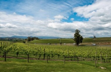 Yarra Valley Wineries Day Tour Including Lunch with Australian Wine Tour Co.