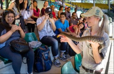 Croc Express to Australia Zoo Transfer with JPT Tours