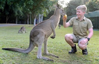 See all of New Zealand with a tailor-made package holiday