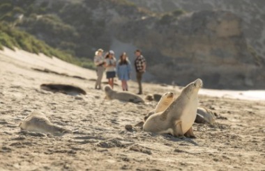 Exploring New Zealand's incredible scenery