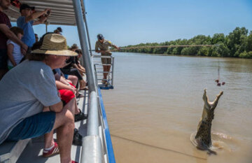 City Lights and Desert Nights: The Ghan, Adelaide to Darwin - Day 6