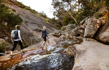 Autopia Tours: Great Ocean Road & Grampians Tour - Day 3