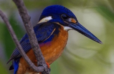 NZ self drive itineraries and package holidays