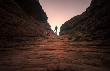 Autopia Tours: Uluru, Kata Tjuta and Kings Canyon Tour - Day 2