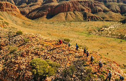 Australian Walking Company: Larapinta Signature Walk - Day 2