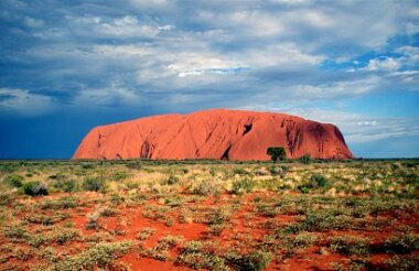 Uluru Sunrise & Field of Light Tour with AAT Kings