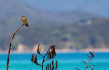 Island Hopper Day Cruise with Barefoot Sailing Adventures