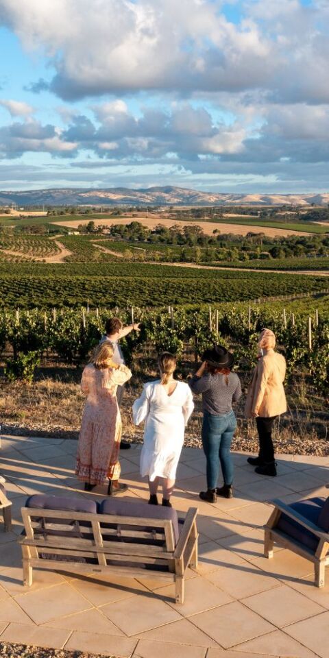 4 people looking out over a vineyard in the Barossa Valley