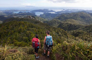 Great Barrier Island Private Tour