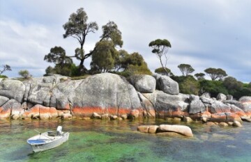 Iconic Australian Wildlife and Nature Tour - Day 14