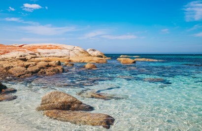 The Best of Tasmania Tour - Day 9