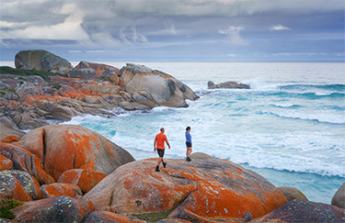 Discover everything New Zealand has to offer with these great vacation packages