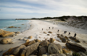 The Tasmanian Walking Company: Bay of Fires Signature Walk - Day 2