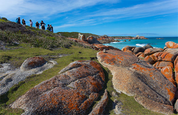 The Tasmanian Walking Company: Bay of Fires Signature Walk - Day 3