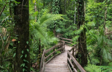 Luxury Cairns, Uluru and Sydney Escape - Day 3