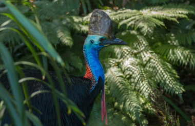 Experience the best of New Zealand with these touring ideas