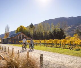 Credit to DQ, family cycling in Gibbston