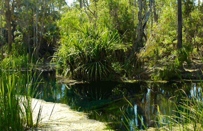 The Kimberley Discovery - Day 13