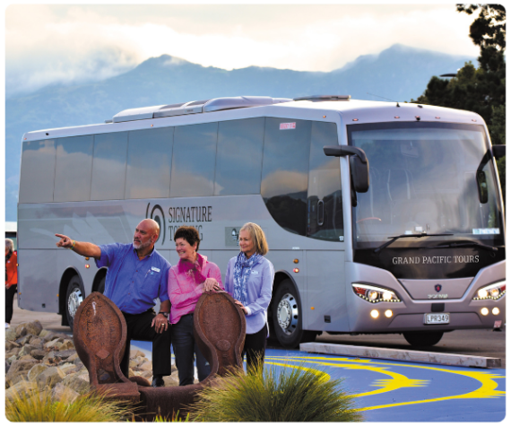 Top Destinations in New Zealand for Seniors
