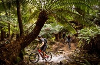 Explore New Zealand with these great holiday ideas