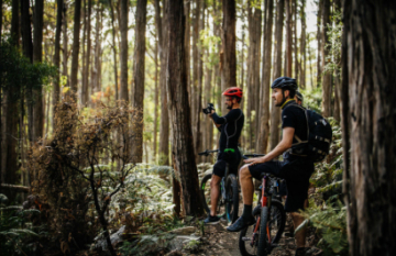 Blue Derby Pod Ride: Luxury Mountain Biking Experience - Day 2