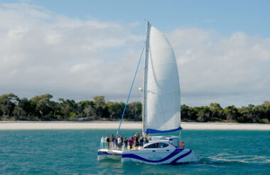 Champagne Sunset Sail with Blue Dolphin Marine Tours