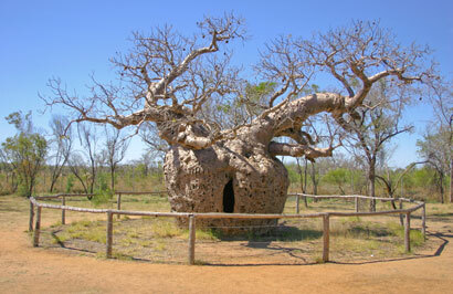 Outback Spirit - Kimberley & Top End Expedition - Day 16