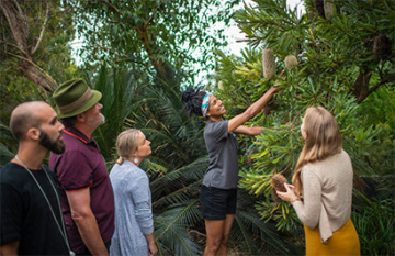 Luxury Cairns, Uluru and Sydney Escape - Day 7