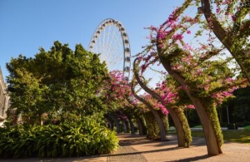 Australia's East Coast Luxury Escape - Day 13