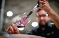Hunter Valley Brokenwood Taste Tour - Wine Included