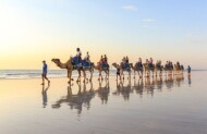 Sunset Camel Tour with Broome Camel Safaris