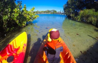 Brunswick River Nature Tour with Go Sea Kayak Byron Bay