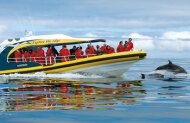 Bruny Island Full Day Tour Departing from Hobart with Pennicott Journeys - Lunch Included