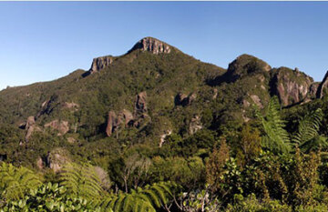 14 Day Classic New Zealand - Day 2