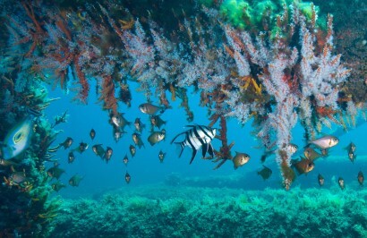 Wonders of the South West Coast - Day 3