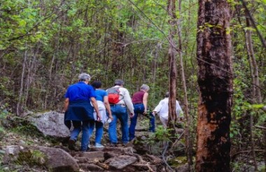 Granite Skywalk Porongurup with Albany Tours