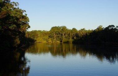 Sunset Eco Rainforest River Cruise