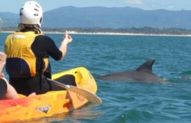 Byron Bay Sea Kayak Tour with Go Sea Kayak Byron Bay