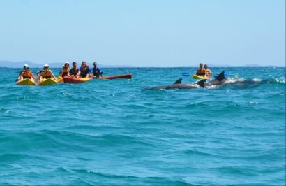 East Coast Sun, Sand and Wildlife Tour - Day 5
