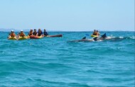 Byron Bay Sea Kayak Tour with Go Sea Kayak Byron Bay Byron Bay Sea Kayak Tour with Go Sea Kayak Byron Bay