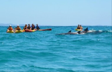 Byron Bay Sea Kayak Tour with Go Sea Kayak Byron Bay