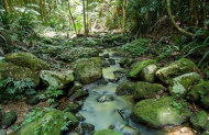 Big Day Out in the Byron Hinterland with Byron Bay Adventure Tours