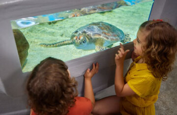 Family Fun Down Under - Day 9
