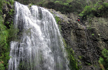 Waitakere Ranges